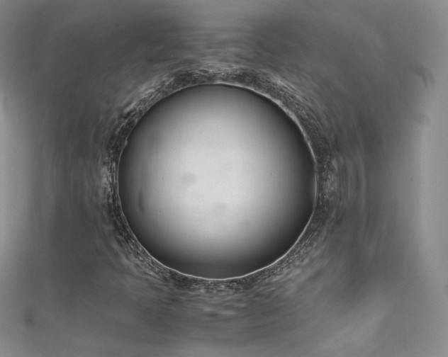X0000111491397200907141229