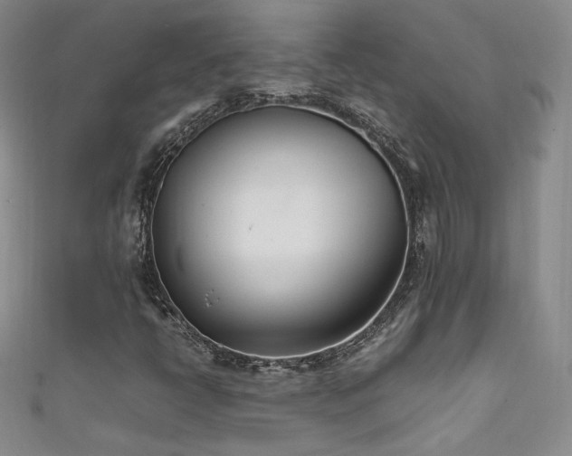 X0000111491398200907141229