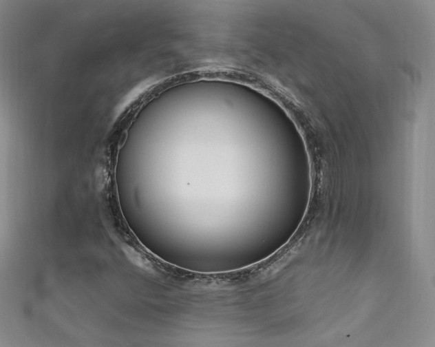 X0000111491400200907141229