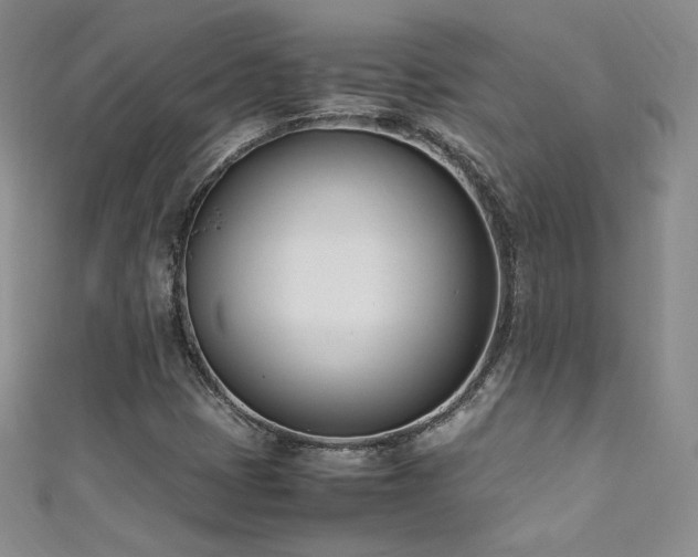 X0000111491401200907141229