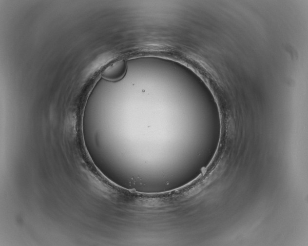X0000111491402200907141229