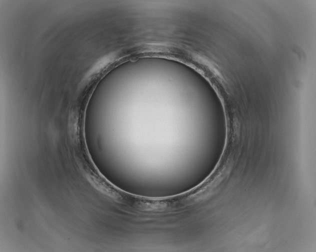 X0000111491403200907141229