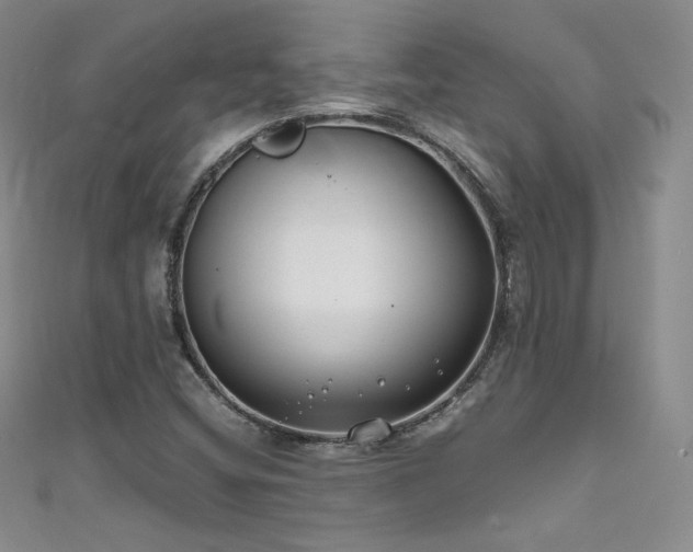 X0000111491404200907141229