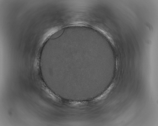 X0000111491405200907141229