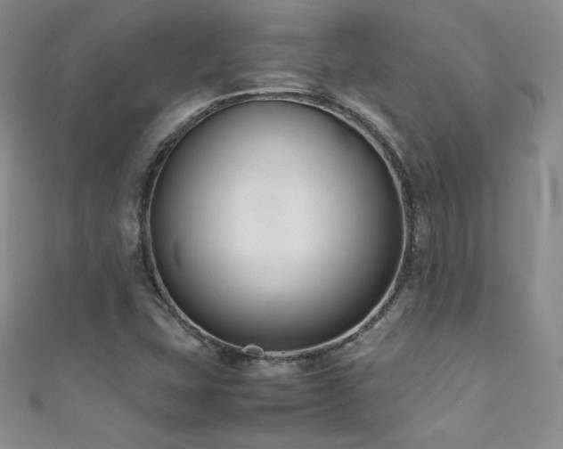 X0000111491407200907141229
