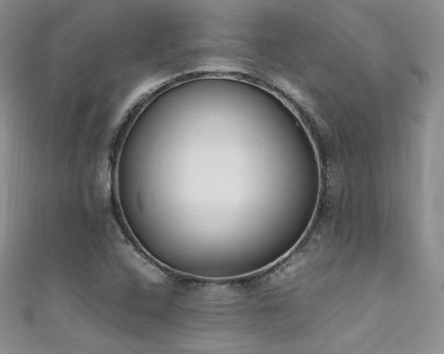 X0000111491408200907141229