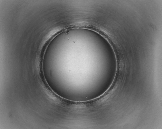 X0000111491410200907141229