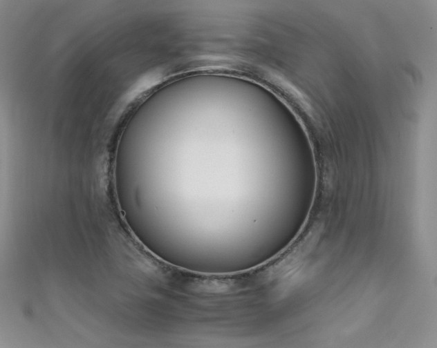 X0000111491411200907141229