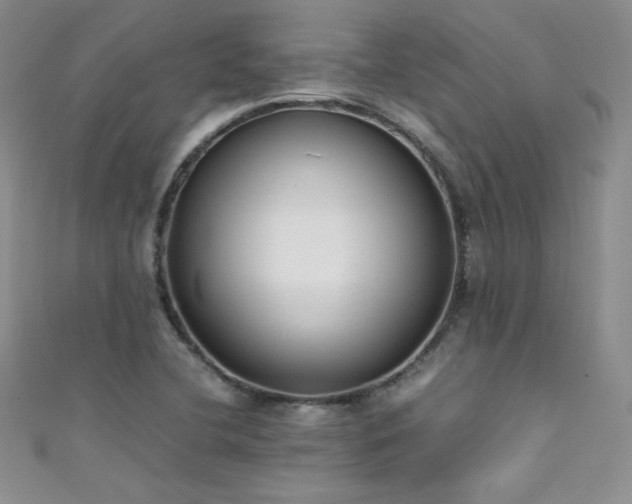 X0000111491412200907141229