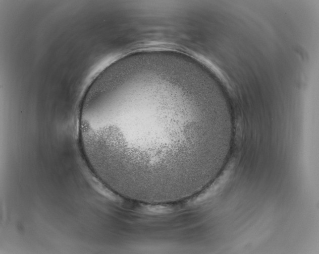 X0000111491413200907141229