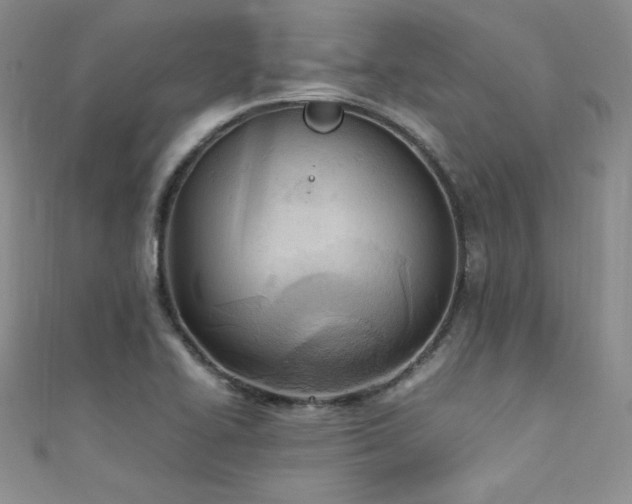 X0000111491414200907141229