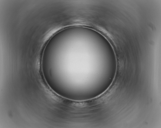 X0000111491415200907141229