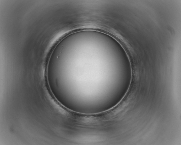X0000111491416200907141229