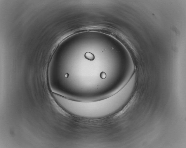 X0000111491417200907141229