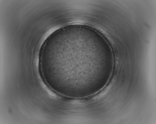 X0000111491418200907141229