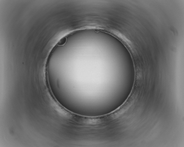 X0000111491423200907141229