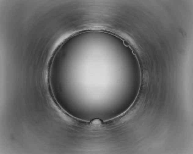 X0000111491424200907141229