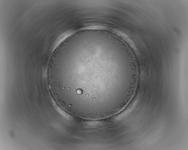 X0000111491425200907141229