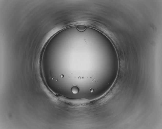 X0000111491426200907141229
