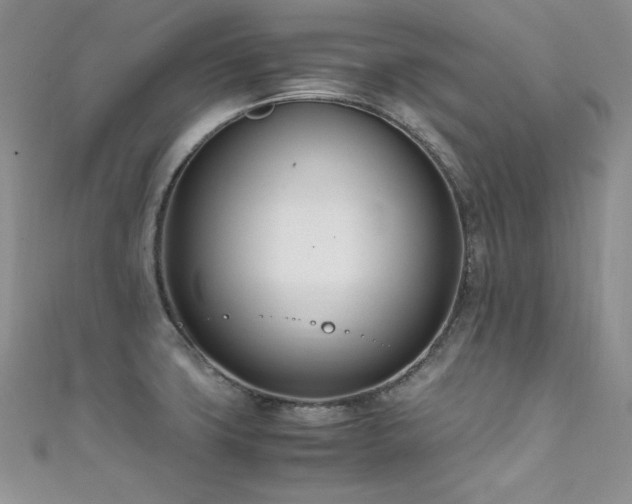 X0000111491427200907141229