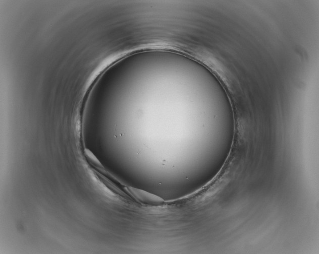 X0000111491428200907141229