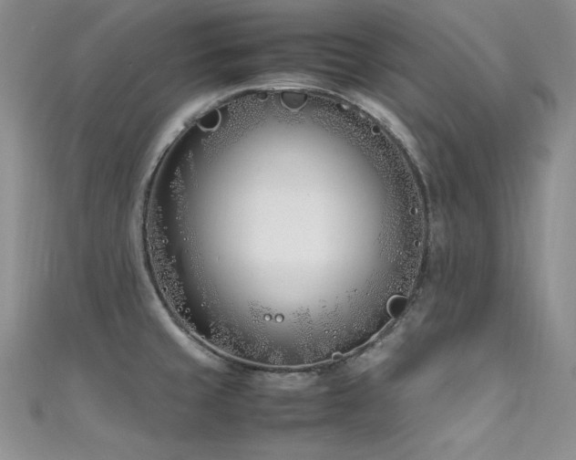 X0000111491429200907141229
