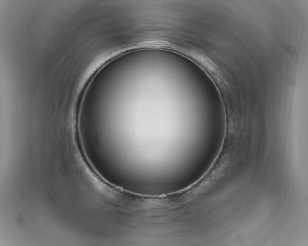 X0000111491430200907141229