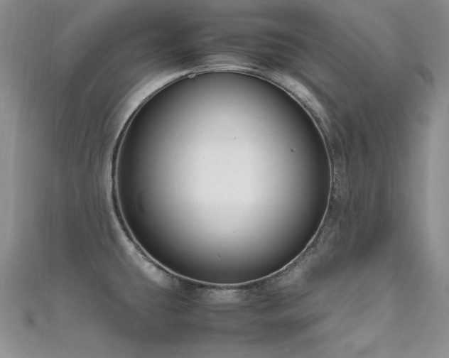 X0000111491431200907141229