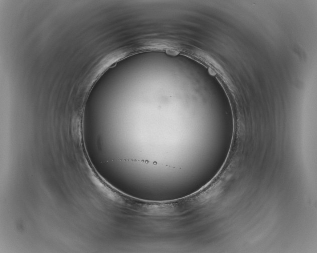 X0000111491433200907141229