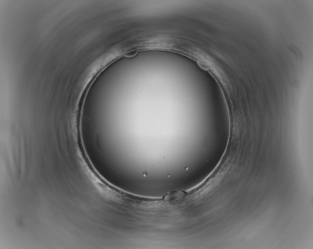 X0000111491434200907141229