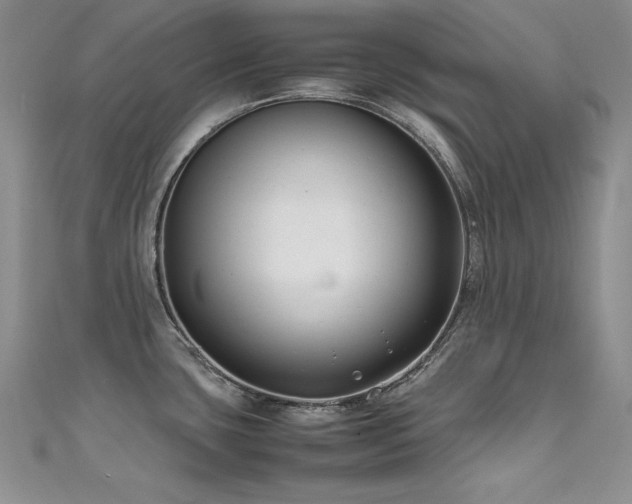 X0000111491435200907141229