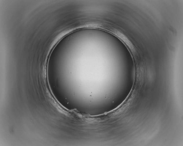 X0000111491436200907141229