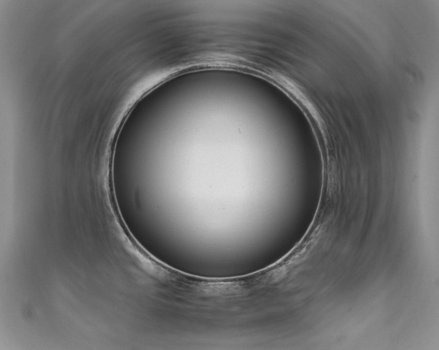 X0000111491437200907141229