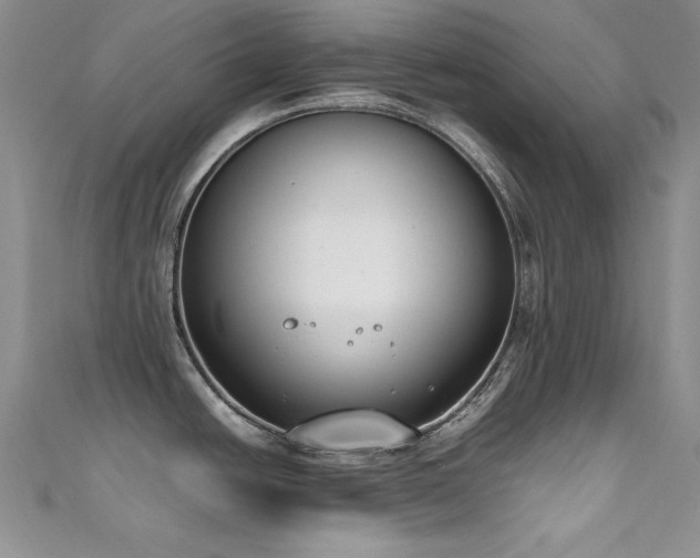 X0000111491438200907141229