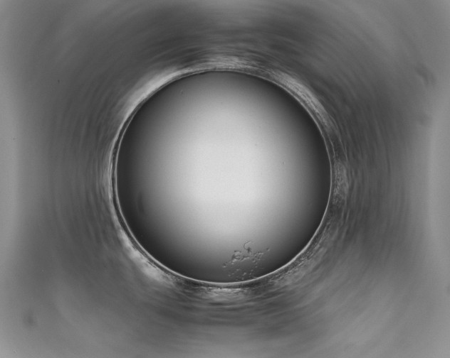 X0000111491439200907141229