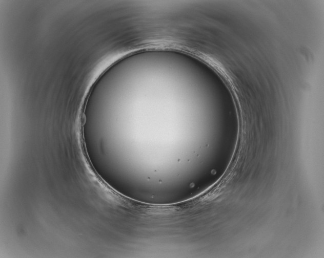 X0000111491440200907141229