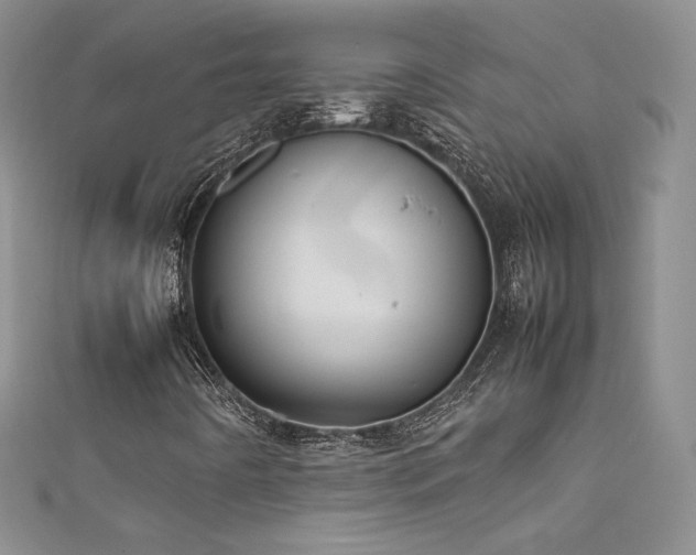 X0000111491442200907141229
