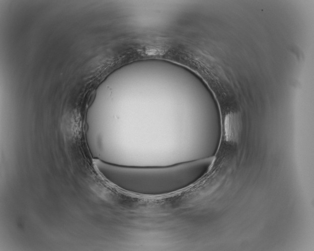 X0000111491443200907141229