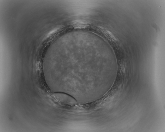 X0000111491445200907141229