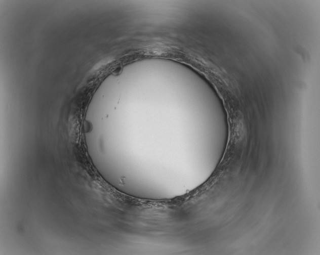 X0000111491446200907141229