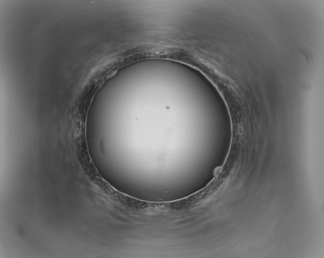 X0000111491447200907141229