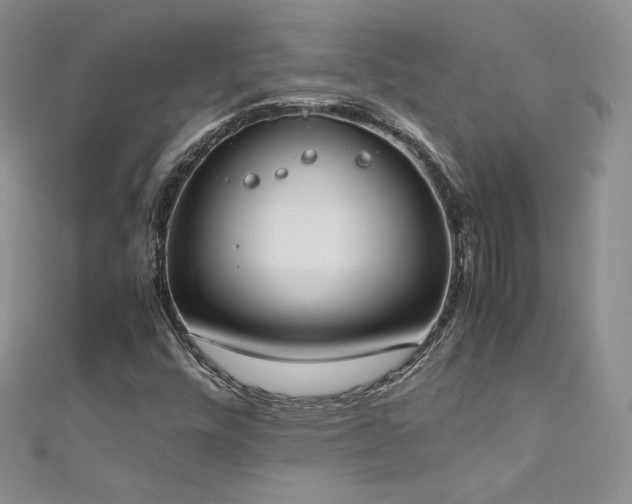 X0000111491448200907141229