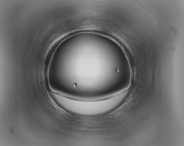 X0000111491452200907141228