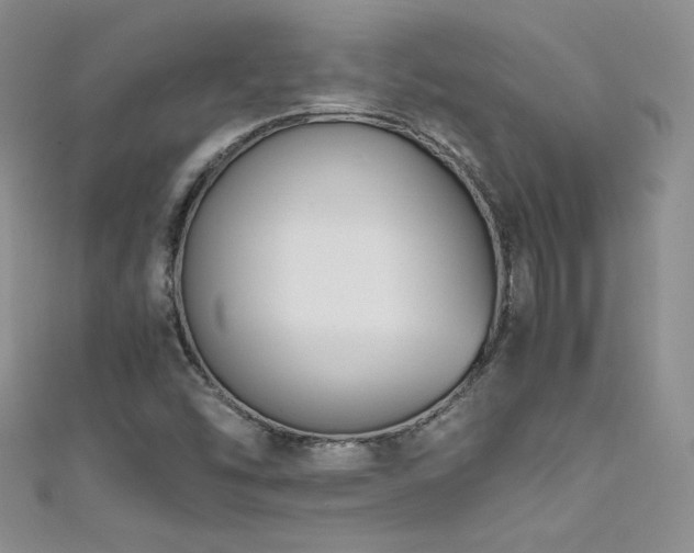 X0000111491454200907141228