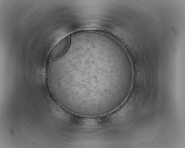 X0000111491457200907141228