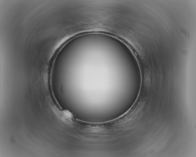 X0000111491460200907141228