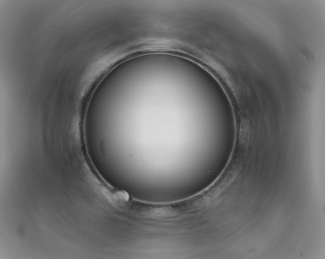 X0000111491464200907141228