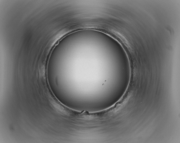 X0000111491465200907141228