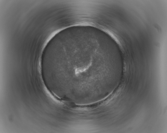 X0000111491468200907141228