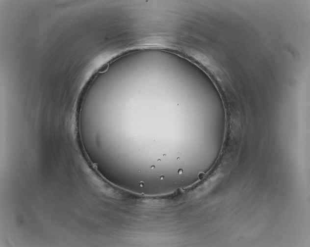 X0000111491469200907141228